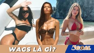 Wags là gì? Ý nghĩa, tầm quan trọng của Wags trong bóng đá